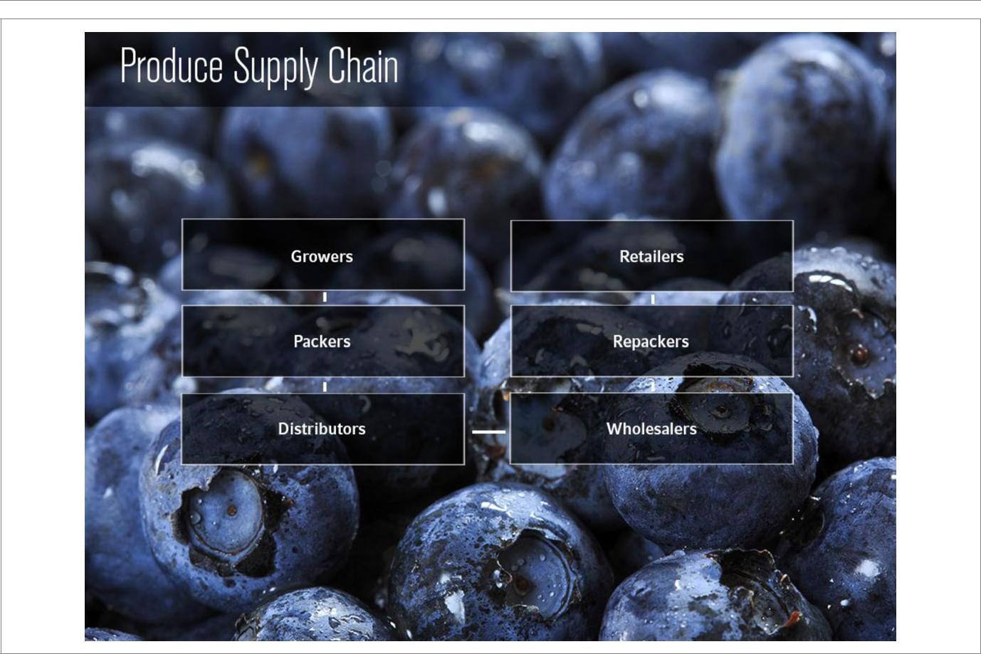 Stakeholders in a produce sector supply chain.